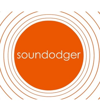 Soundodger+ Steam Key GLOBAL